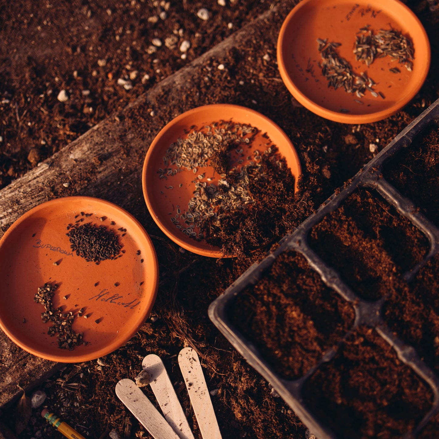 Workshop Seminiamo Iniseme