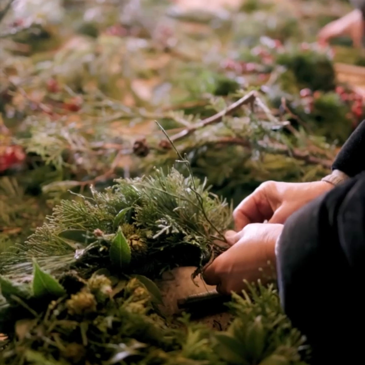 Demo Online – Ghirlanda d’inverno