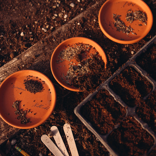 Workshop Seminiamo Iniseme