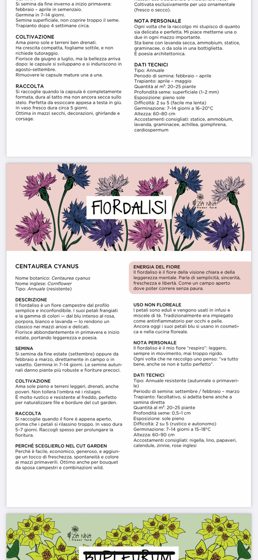 Piano Colturale + Archivio Fiori Zia Nina
