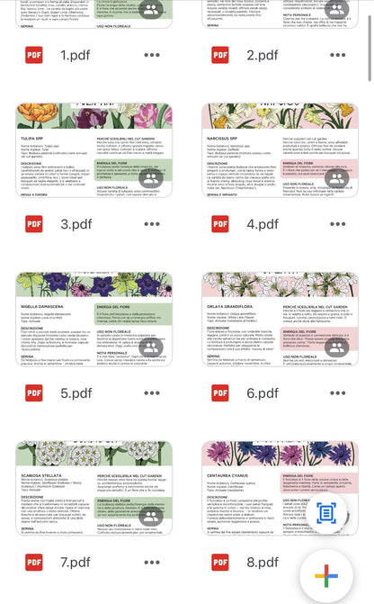 Piano Colturale + Archivio Fiori Zia Nina