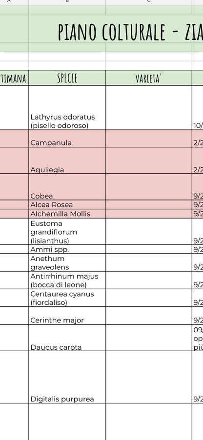 Piano Colturale + Archivio Fiori Zia Nina