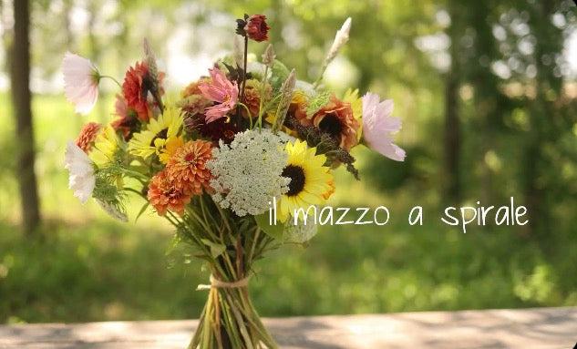 On-Line Mini  Corso  Mazzo a Spirale